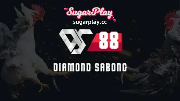 Real Player Reviews: Win Big at DS88 Casino